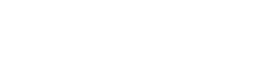 GoFiber — powered by Ebone Network